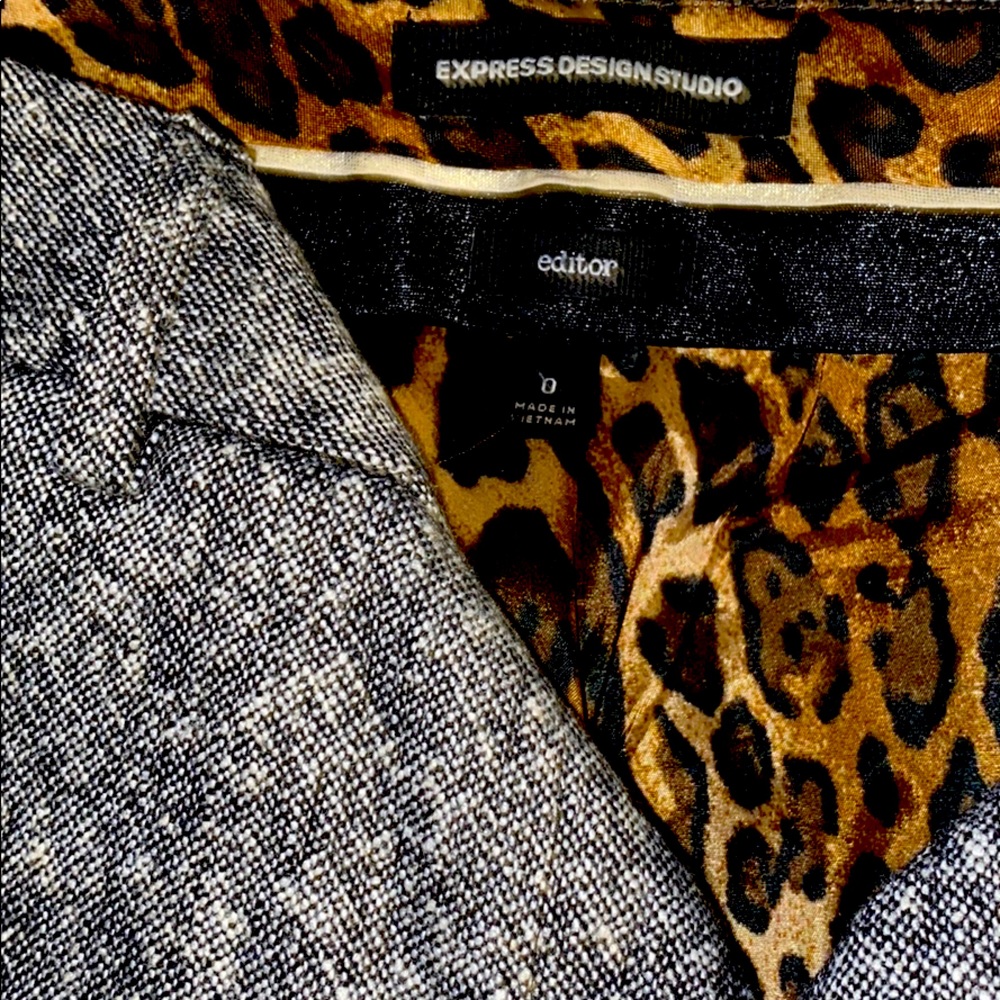 Express Design Studio Editor Pants